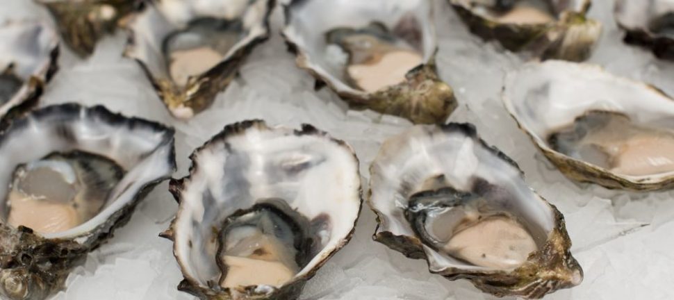 Brunch Odense: En Ultimativ Guide til Eventyrrejsende og Backpackere